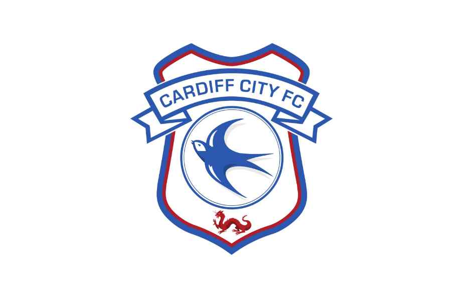 Cardiff City Football Club Players Wages And Salaries (2023)